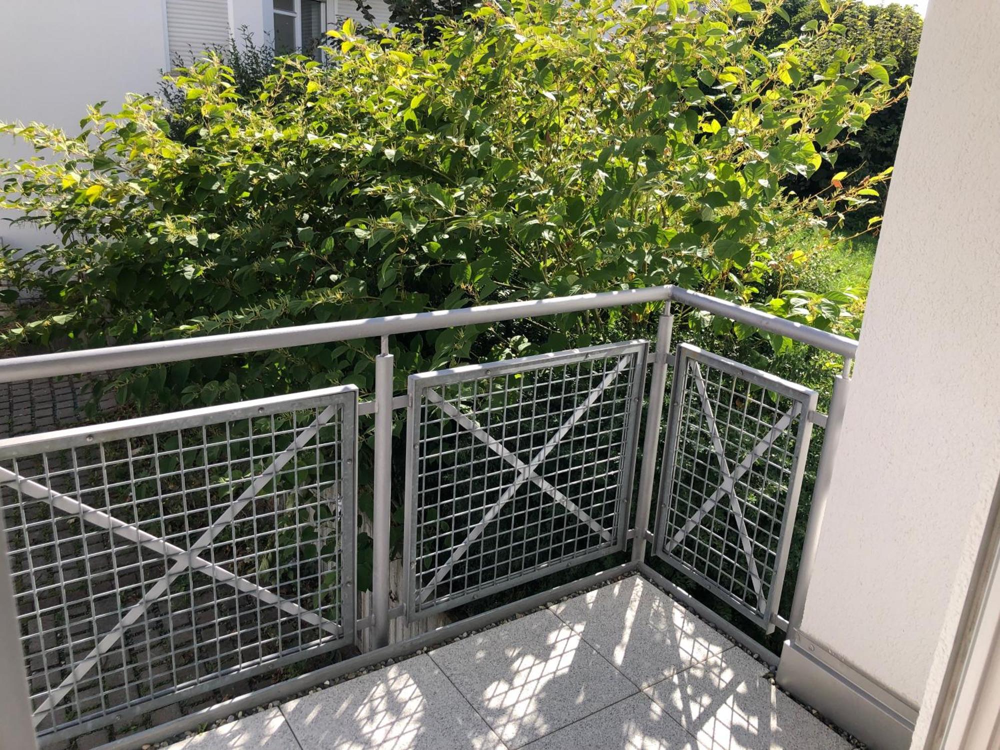 Luxliv Apartements Balingen Esterno foto